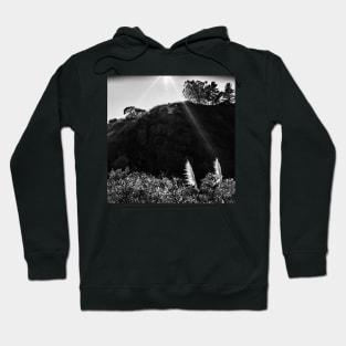 Pampas Grass, Glen Canyon Park, San Francisco Hoodie